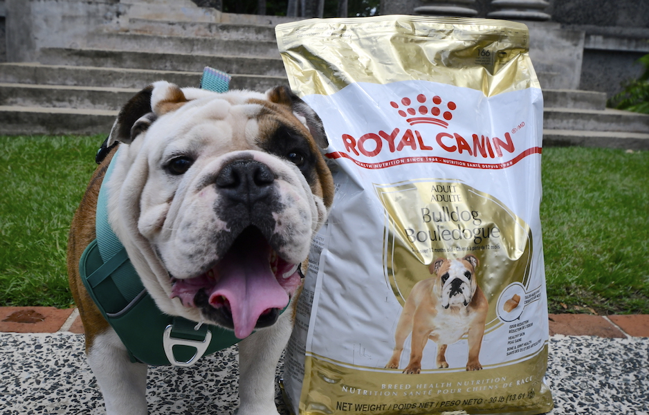 Tarzán XII junto a saco de alimento patrocinado por Royal Canin